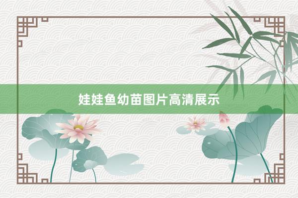 娃娃鱼幼苗图片高清展示
