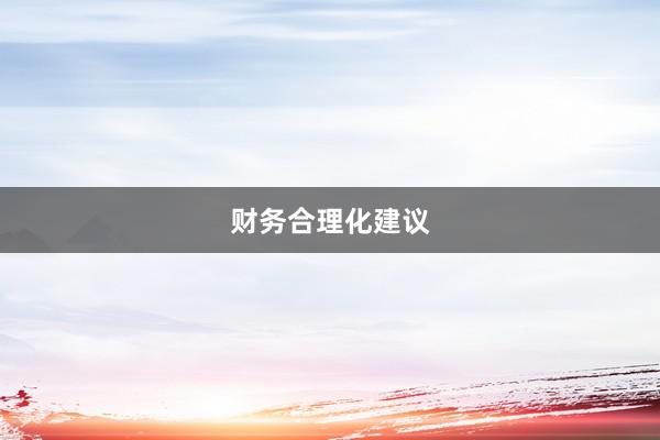 财务合理化建议